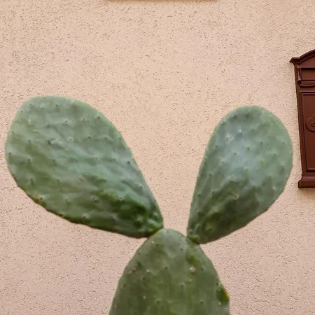 Casa de Férias Don Camillo Maison Avola